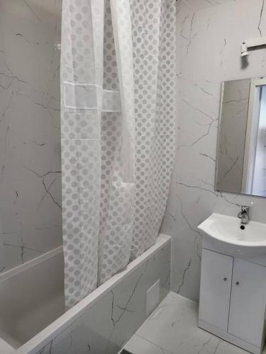 斯拉百斯JR APARTMEMT #2 - Slubice Center的白色的浴室设有淋浴帘和水槽