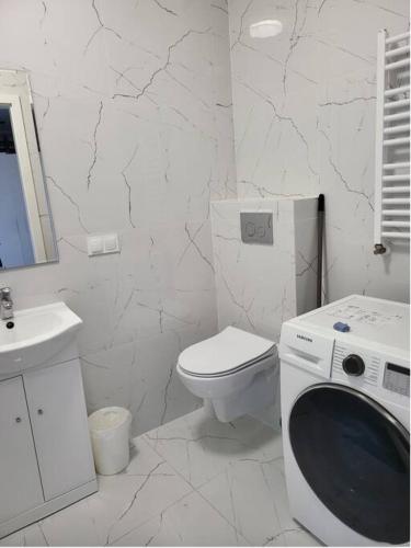 斯拉百斯JR APARTMEMT #2 - Slubice Center的白色的浴室设有卫生间和洗衣机。