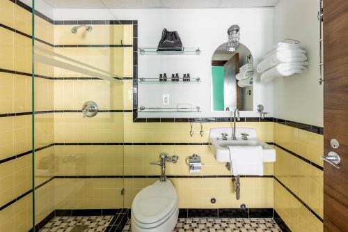 迈阿密海滩鹈鹕酒店的一间带卫生间和水槽的浴室
