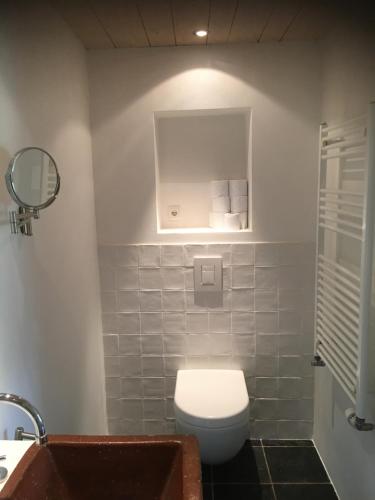阿尔滕B&B 't Varkenshuus的一间带卫生间和水槽的浴室