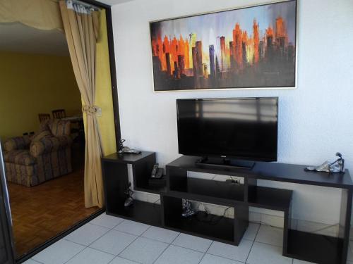 安托法加斯塔格雷西亚大道爱蒙布拉多公寓的客厅设有壁挂式平面电视。