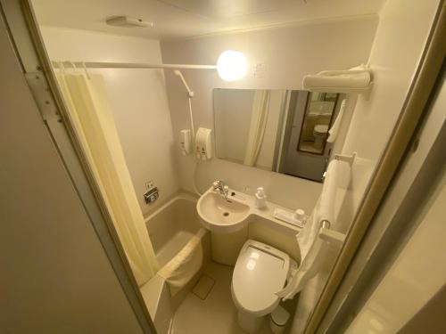 福井Az Inn Fukui - Vacation STAY 65944v的一间带卫生间和水槽的小浴室