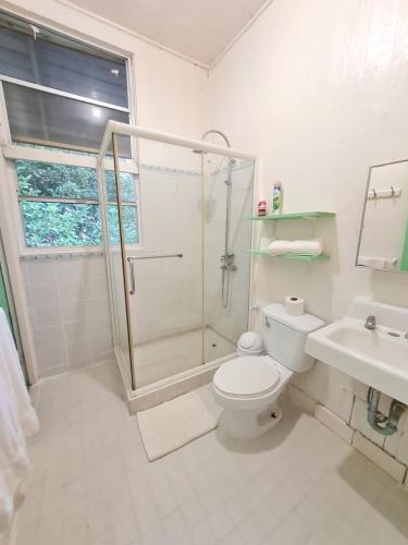 博卡德拉戈Drago Beach House - Private Beach的带淋浴、卫生间和盥洗盆的浴室