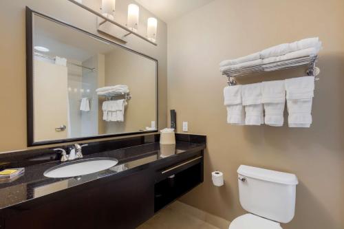 迈阿密贝斯特韦斯特阿密机场北酒店的一间带水槽、卫生间和镜子的浴室