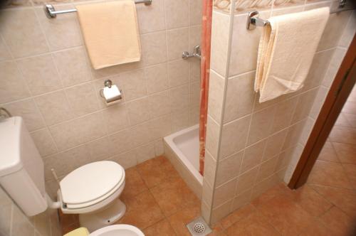 特雷斯塔尼克Apartments by the sea Trstenik, Peljesac - 4575的浴室设有卫生间和带毛巾的淋浴。