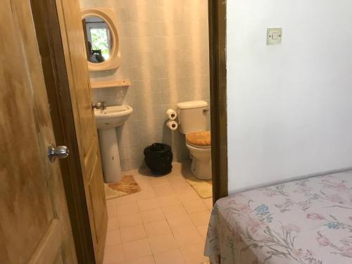 贝圣安那A&D Holiday Home的一间带卫生间和水槽的浴室