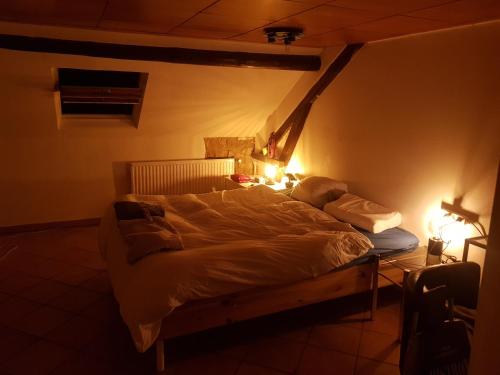 阿尔泽特河畔埃施Van Helsing的房间里的一张床位,上面有两个灯