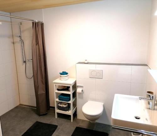 RaggalApartment BergIN的浴室配有卫生间、淋浴和盥洗盆。