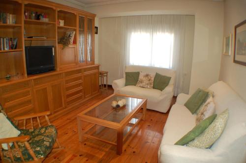 雷诺萨Apartamentos La Luz de Reinosa 2的客厅配有两张沙发和一张咖啡桌