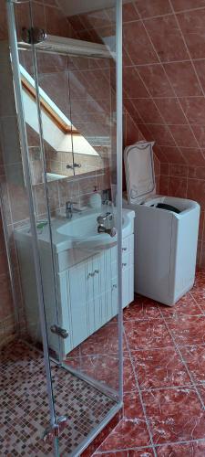 巴拉顿菲兹弗Szikszai Apartman的一间带水槽和卫生间的浴室
