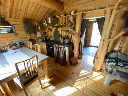 Bardu Huskylodge的小木屋内的厨房和用餐室