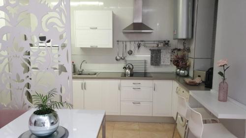 科尔多瓦Apartamento Los Padrinos的厨房配有白色橱柜和餐桌上盆栽植物