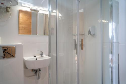 卢布林地区托马舒夫Arche Siedlisko Typin 140的白色的浴室设有水槽和淋浴。