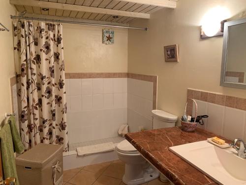Dickenson BayVista Mare的浴室配有卫生间、盥洗盆和淋浴。