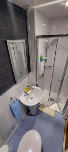 埃伦港Cala Sith Guesthouse的浴室配有卫生间、盥洗盆和淋浴。
