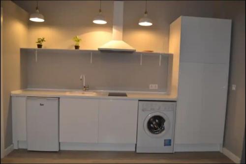 马德里索尔马约尔公寓的厨房配有水槽和洗衣机