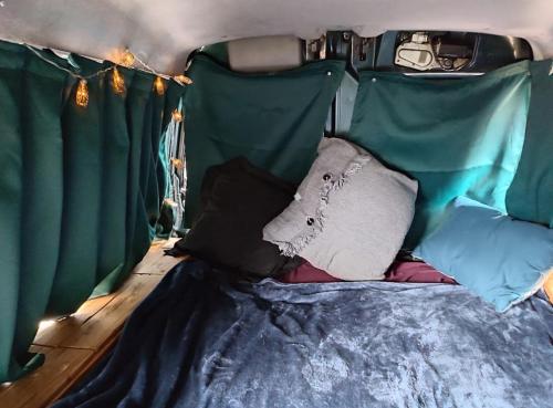 圣克鲁斯-德特内里费Beautiful Campervan to Rent的一张带绿篷和枕头的床