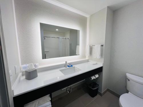 萨利纳斯Holiday Inn Express & Suites Salinas, an IHG Hotel的一间带水槽、镜子和卫生间的浴室