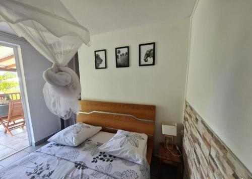 勒弗朗索瓦A l'ombre du goyavier的一间卧室配有一张带天蓬和窗户的床