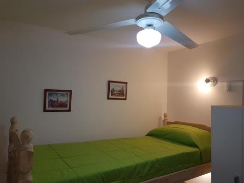 布宜诺斯艾利斯Habitación con baño privado Un piso por escalera的一间卧室配有绿色的床和吊扇