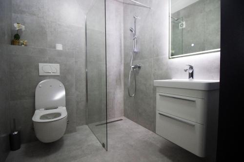 莫斯塔尔Jacuzzi Sauna SelfCheckIn Mystic的带淋浴、卫生间和盥洗盆的浴室