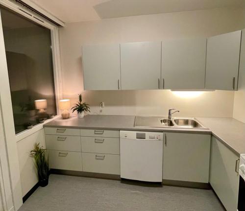 奥勒松A11的厨房配有白色橱柜和水槽