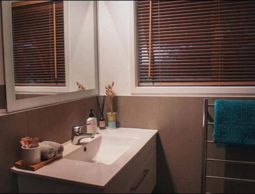 哈海Ponga eco-lodge的一间带白色水槽的浴室和两个窗户