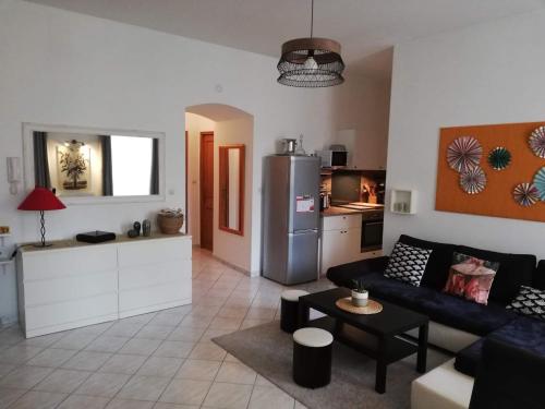奥朗日Orange: appartement pratique et idéalement placé的带沙发的客厅和厨房