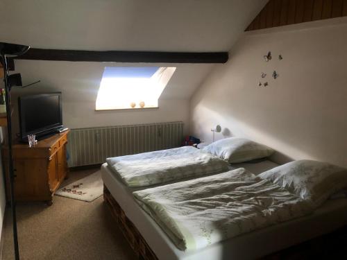 EisenIronico Homestay Bostalsee Ferienwohnung 100 m2的一间卧室配有两张单人床和一台电视机
