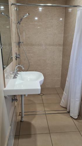 BoggabriBoggabri Motel的一间带水槽和淋浴的浴室