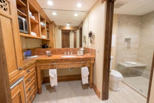 帕克城Hotel King Hotel Room的一间带水槽、淋浴和卫生间的浴室