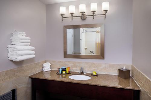 北康威金阁旅馆的一间带水槽和镜子的浴室
