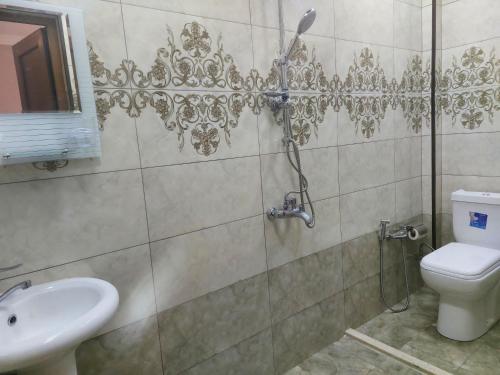 伊斯梅尔雷SUNRISE Guest House的带淋浴、卫生间和盥洗盆的浴室