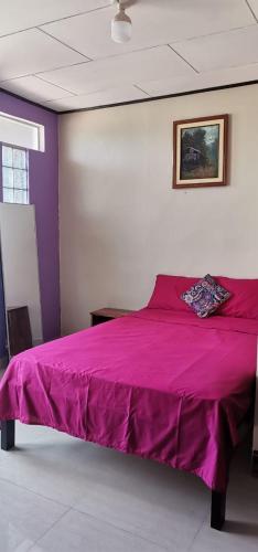 伊基托斯B. J. & M SERVICE的一间卧室配有紫色床和紫色毯子