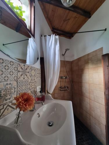 贝加德圣马特奥Casa Fuente Hervera的浴室设有水槽,上面有花