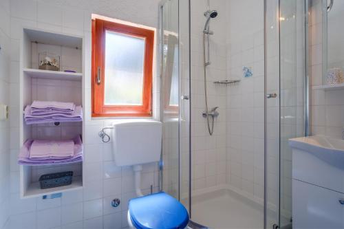 康斯基Apartments by the sea Artatore, Losinj - 7952的带淋浴和蓝色卫生间的浴室