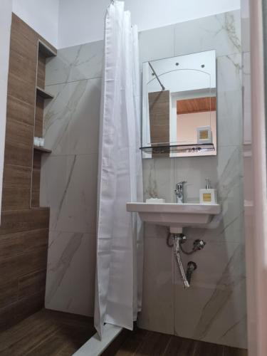 吉诺卡斯特B Vishe Guest House的一间带水槽和镜子的浴室