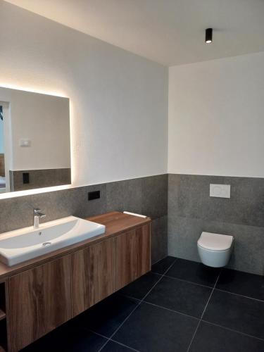 梅拉诺Appartements König的一间带水槽和卫生间的浴室
