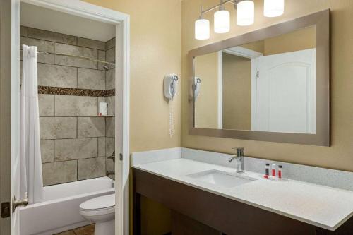 鸽子谷皮金福奇豪生大酒店的一间带水槽、卫生间和镜子的浴室