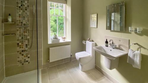 多尔盖罗Bryn Mair的浴室配有卫生间、盥洗盆和淋浴。