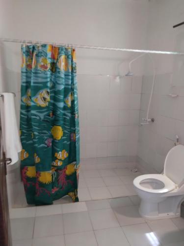 乌罗阿Coconut Tree Village Beach Resort的一间带卫生间和淋浴帘的浴室