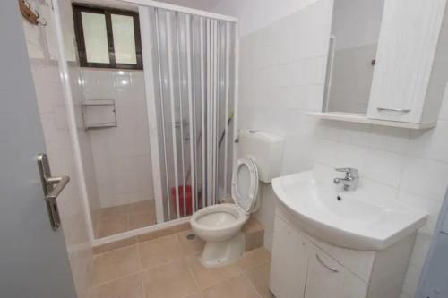 卡梅纳维洛拉Vasileiou Apartments的浴室配有卫生间、淋浴和盥洗盆。