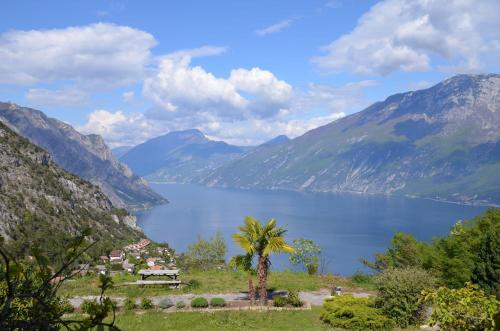 特雷莫西内Ferienwohnung-Casa-Uta-Gardasee-Limone-Tremosine的享有棕榈树和山脉的湖泊美景