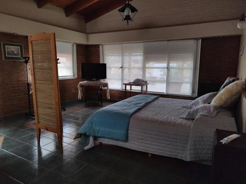 特雷利乌COMO EN CASA的卧室配有床、电视和窗户。