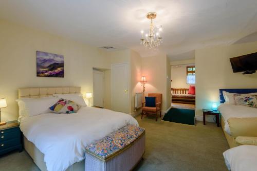 Tal-y-llyn佩尼邦特住宿加早餐旅馆的一间卧室配有两张床和吊灯。
