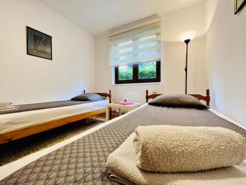 乌日策维克特瑞加公寓的一间卧室设有两张床和窗户。