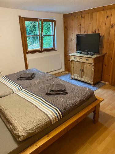 瓦尔德-米谢尔巴赫Ferienhaus zum Ulfenbachtal的一间卧室配有一张床和一台平面电视