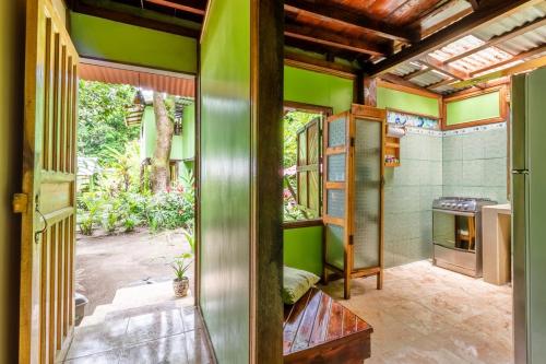 托尔图格罗casa chilamates的一间设有绿色墙壁的客房和一间带炉灶的厨房
