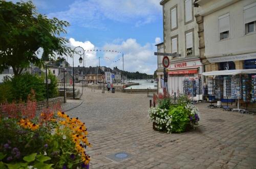 欧赖Très bel Appartement avec superbe vue sur le Port de Saint Goustan的砖街上鲜花盛开的城镇广场