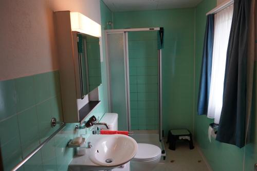 芙露姆赛山Schwendihöckli - CharmingStay的绿色浴室设有水槽和卫生间